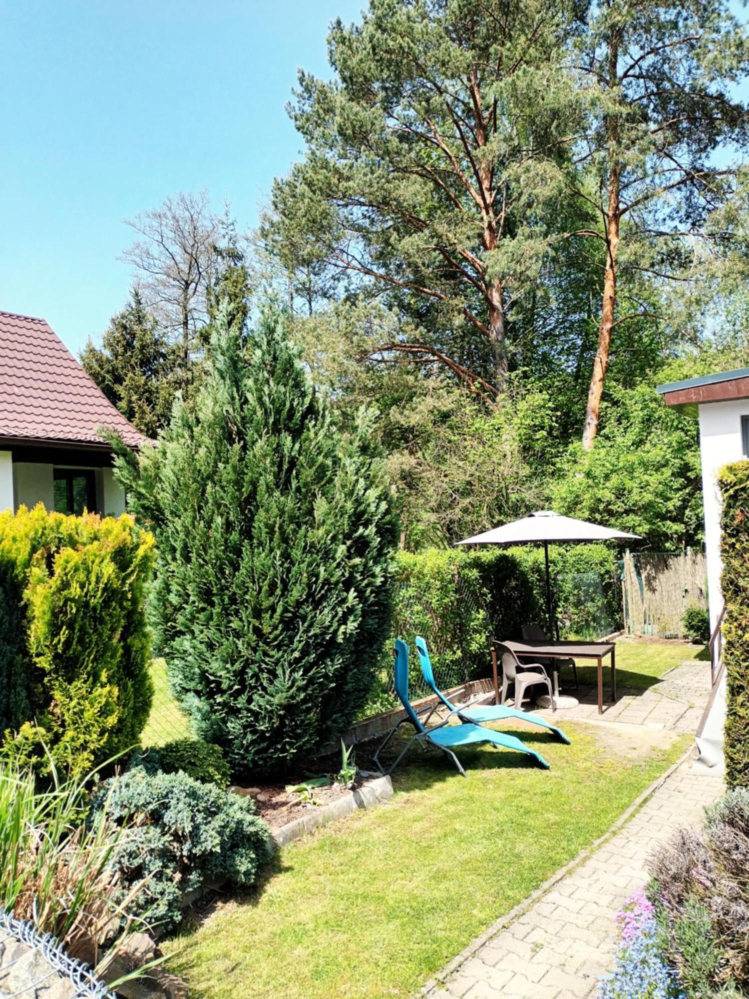 Villa Randy'S House Plzeň Esterno foto
